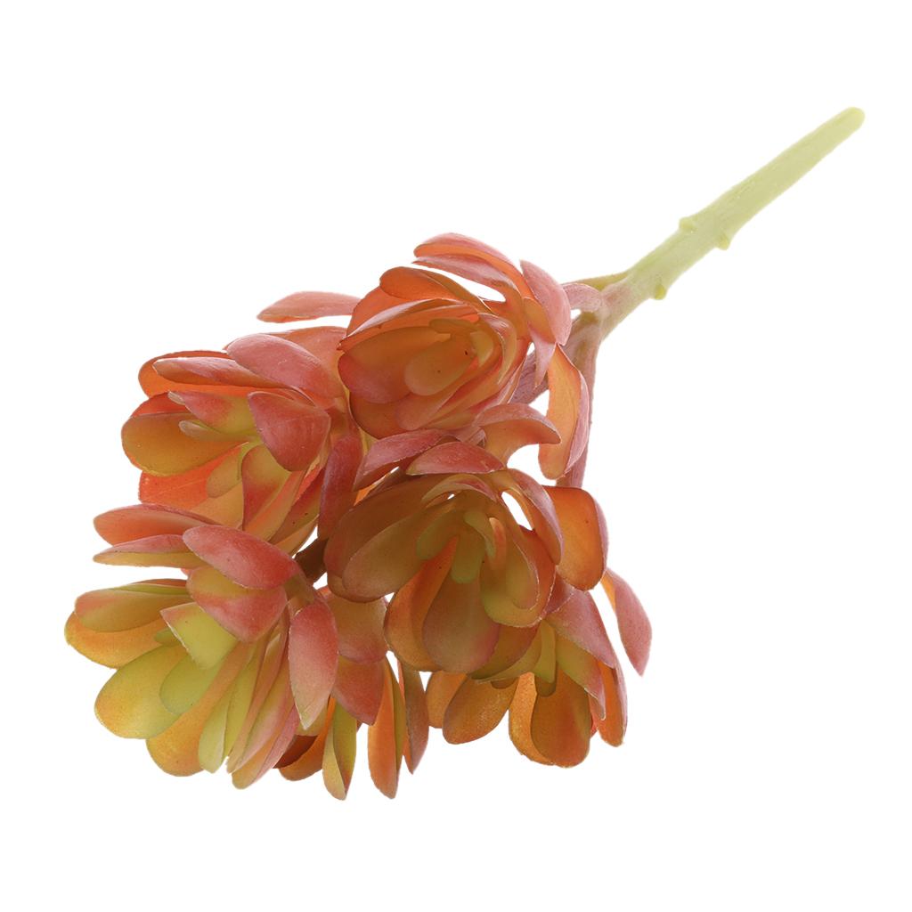 Echeveria Succulent - Künstliche Kunststoff-Sukkulenten, lebensechte Echeveria-Schneelotus-Pflanzen für Schreibtischdekoration,