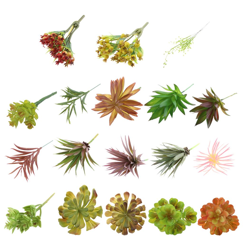 Künstliche Kunststoff-Sukkulen – Echeveria Succulent Bewertung und Preis