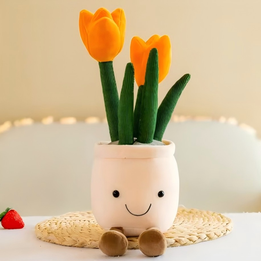 Lebensechte Tulpen-Sukkulenten – Echeveria Succulent Bewertung und Preis