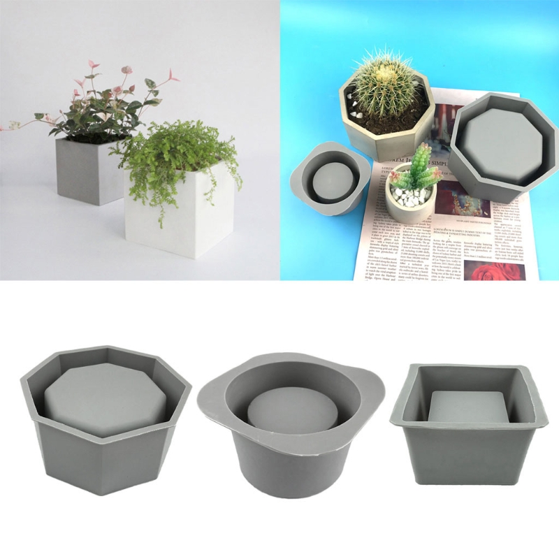 Handgemachte saftige Pflanzer  – Echeveria Succulent Bewertung und Preis