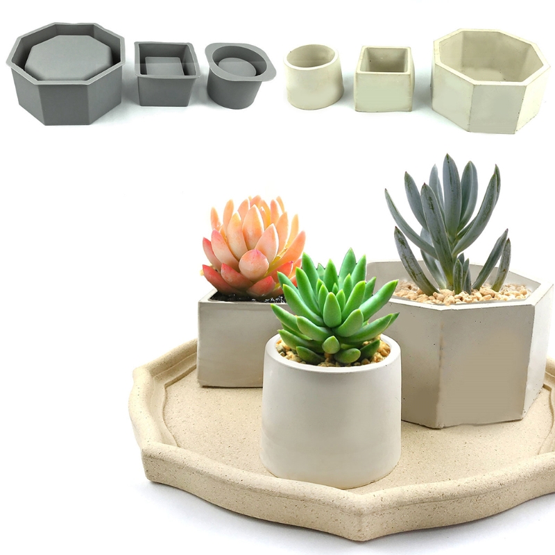 Handgemachte saftige Pflanzer  – Echeveria Succulent Bewertung und Preis