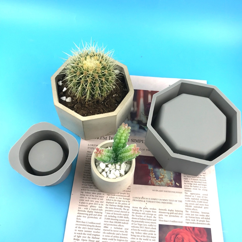Handgemachte saftige Pflanzer  – Echeveria Succulent Bewertung und Preis