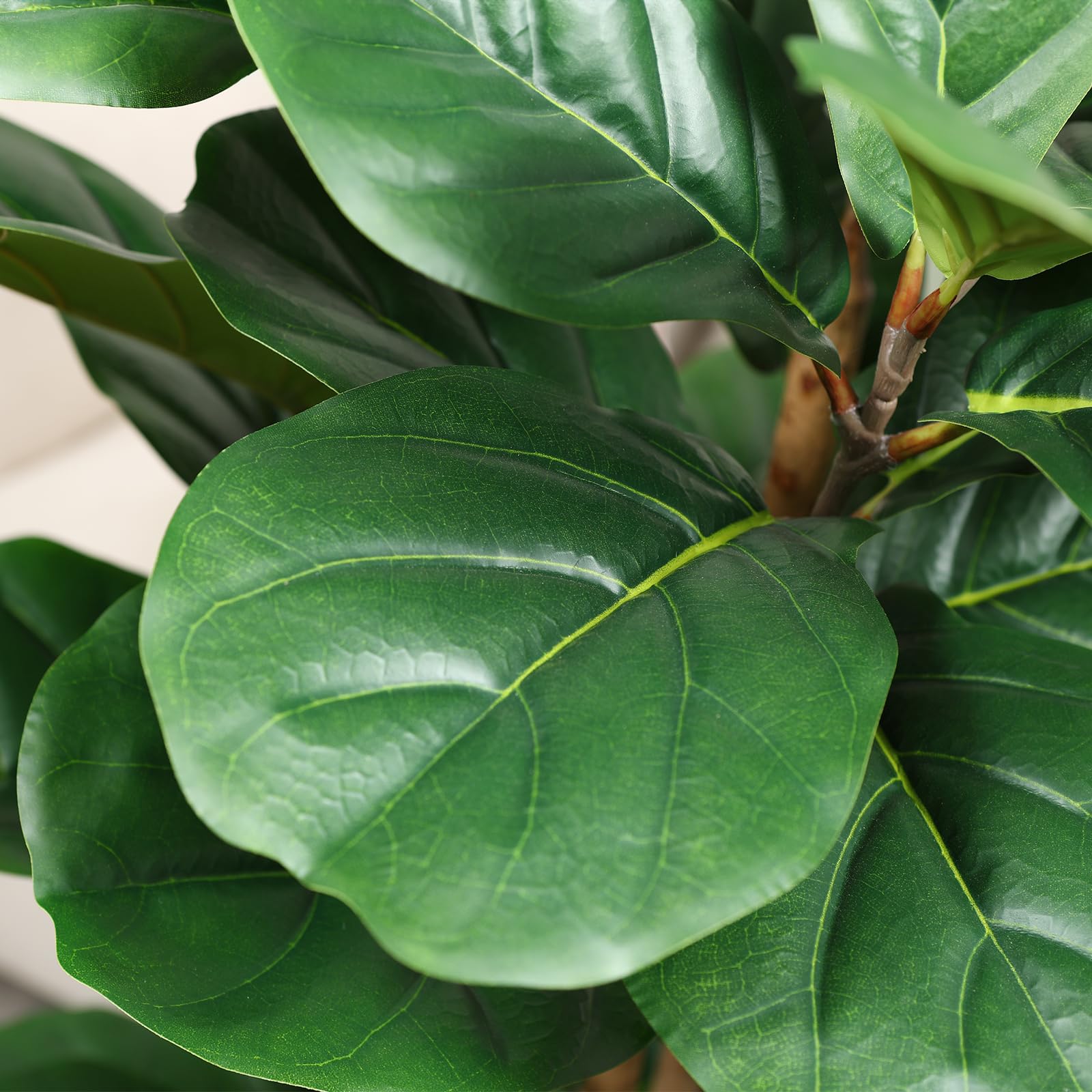 Künstlicher Fiddle-Leaf-Fig-Ba – Ficus Lyrata Tree Bewertung und Preis