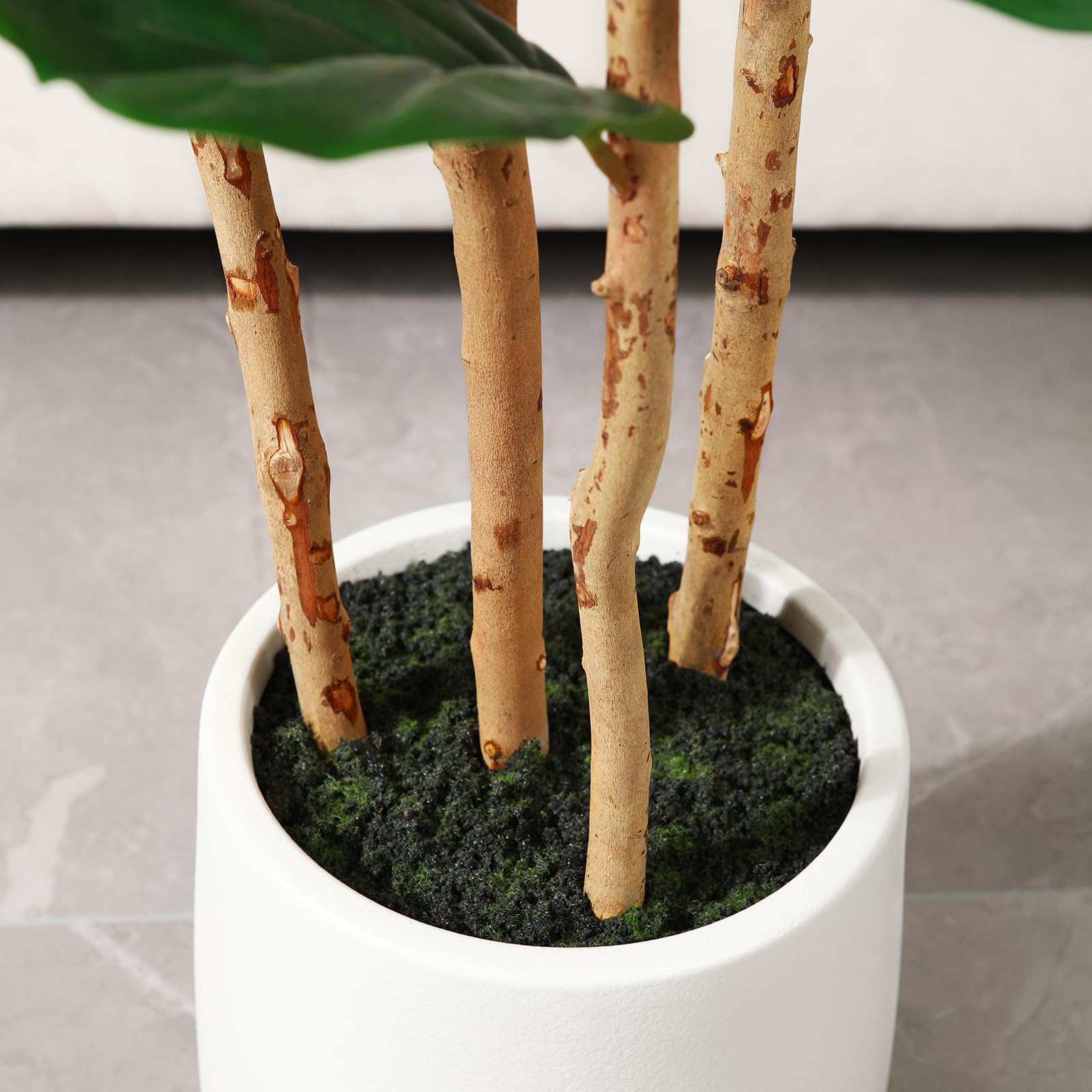 Künstlicher Fiddle-Leaf-Fig-Ba – Ficus Lyrata Tree Bewertung und Preis